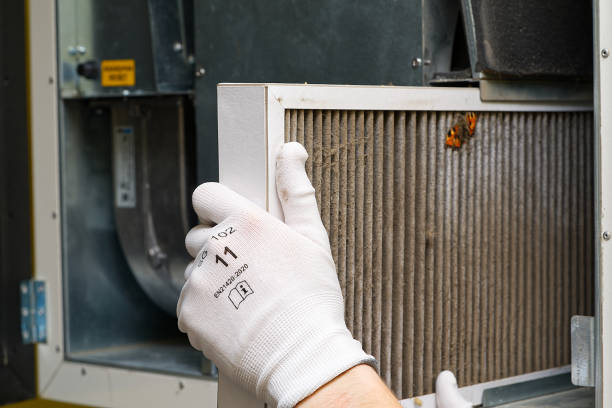 Professional Airduct Cleaning in Pine Manor, FL